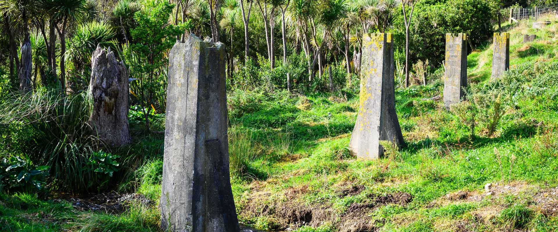 US Marines in New Zealand