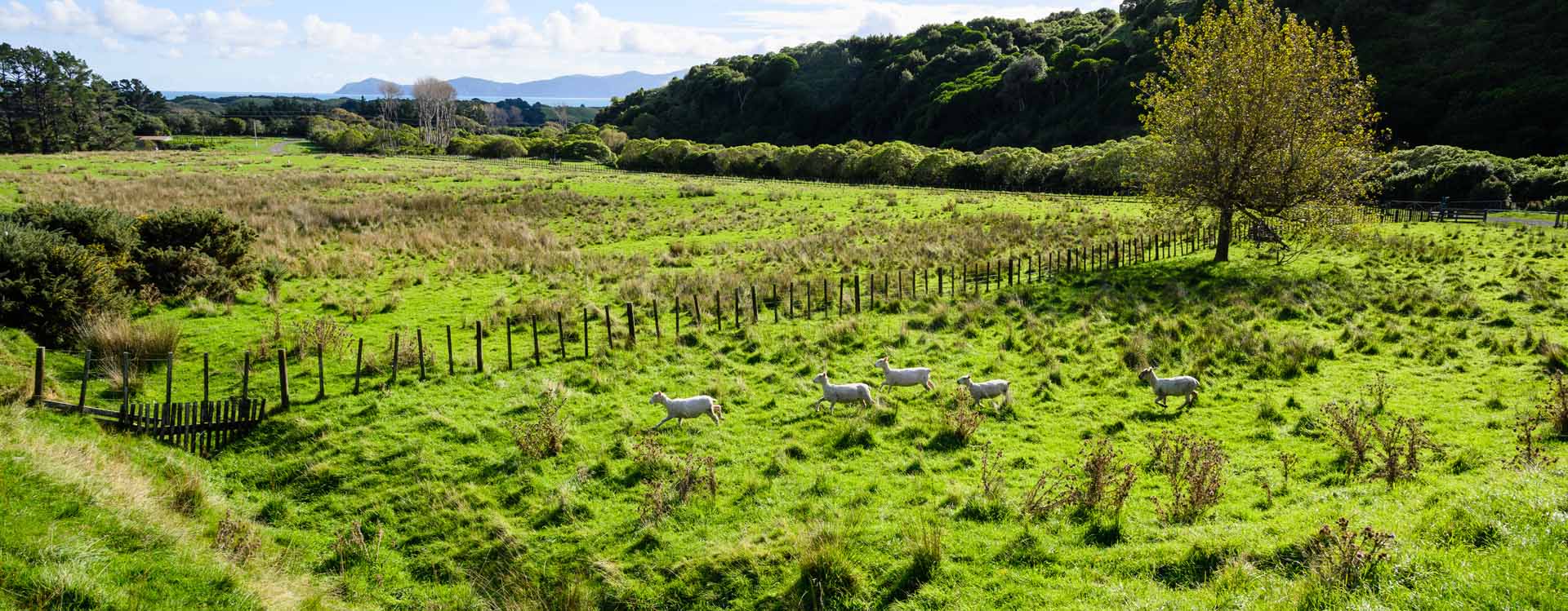 US Marines in New Zealand